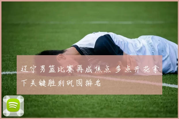 辽宁男篮比赛再成焦点 多点开花拿下关键胜利巩固排名