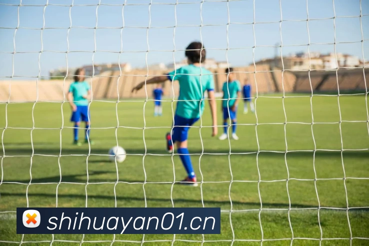 压球首页平台生态图